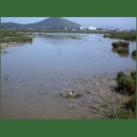 Albufera_BishopI_hide.JPG